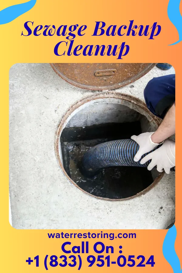 Sewage Backup Cleanup in Brentwood, MO