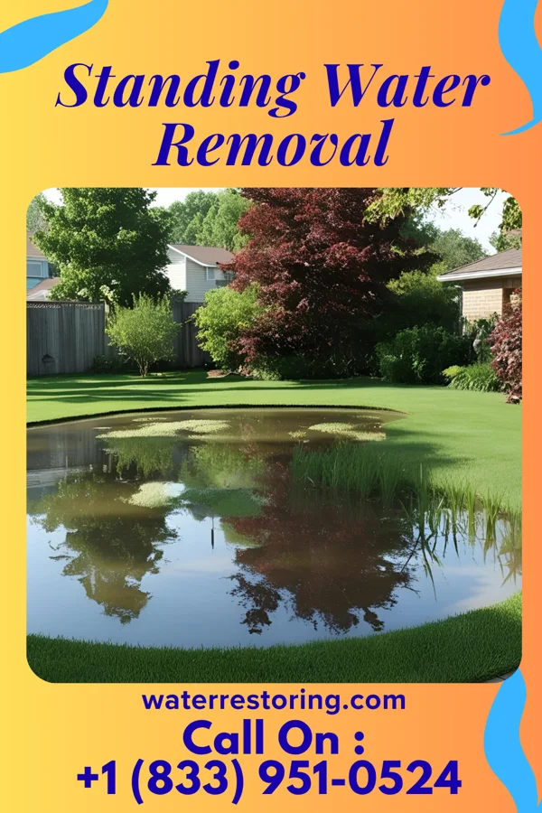 Standing Water Removal in Brentwood, MO